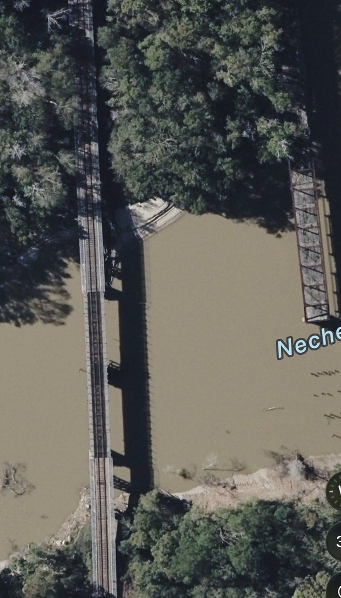 bryan collects tweet media