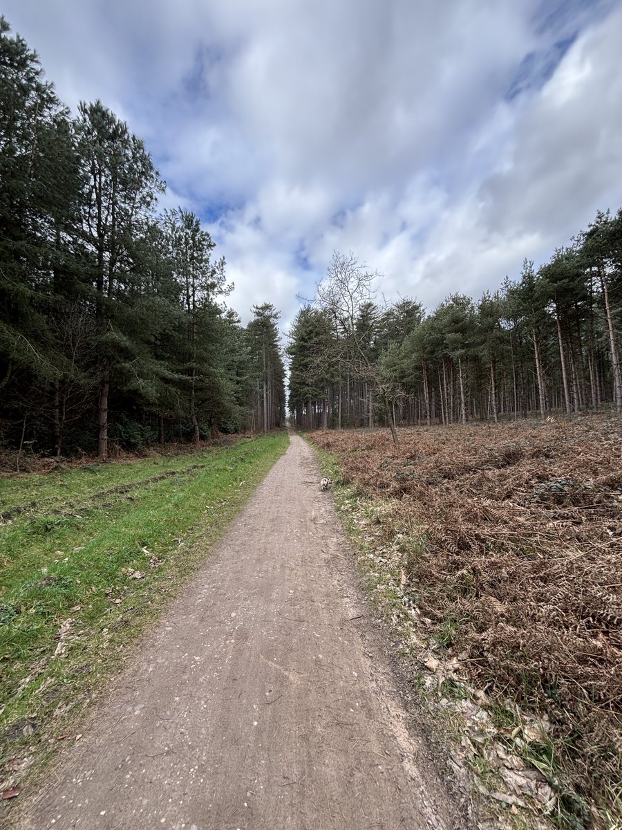 Pix 🎨 tweet media