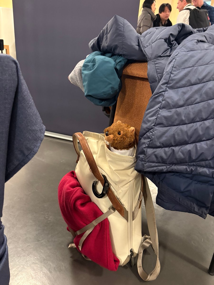 Collabora Online & Office tweet media