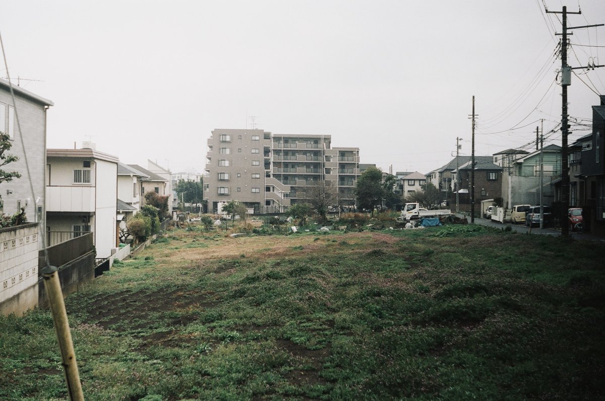 𝘀𝗵𝘆𝗻. tweet media