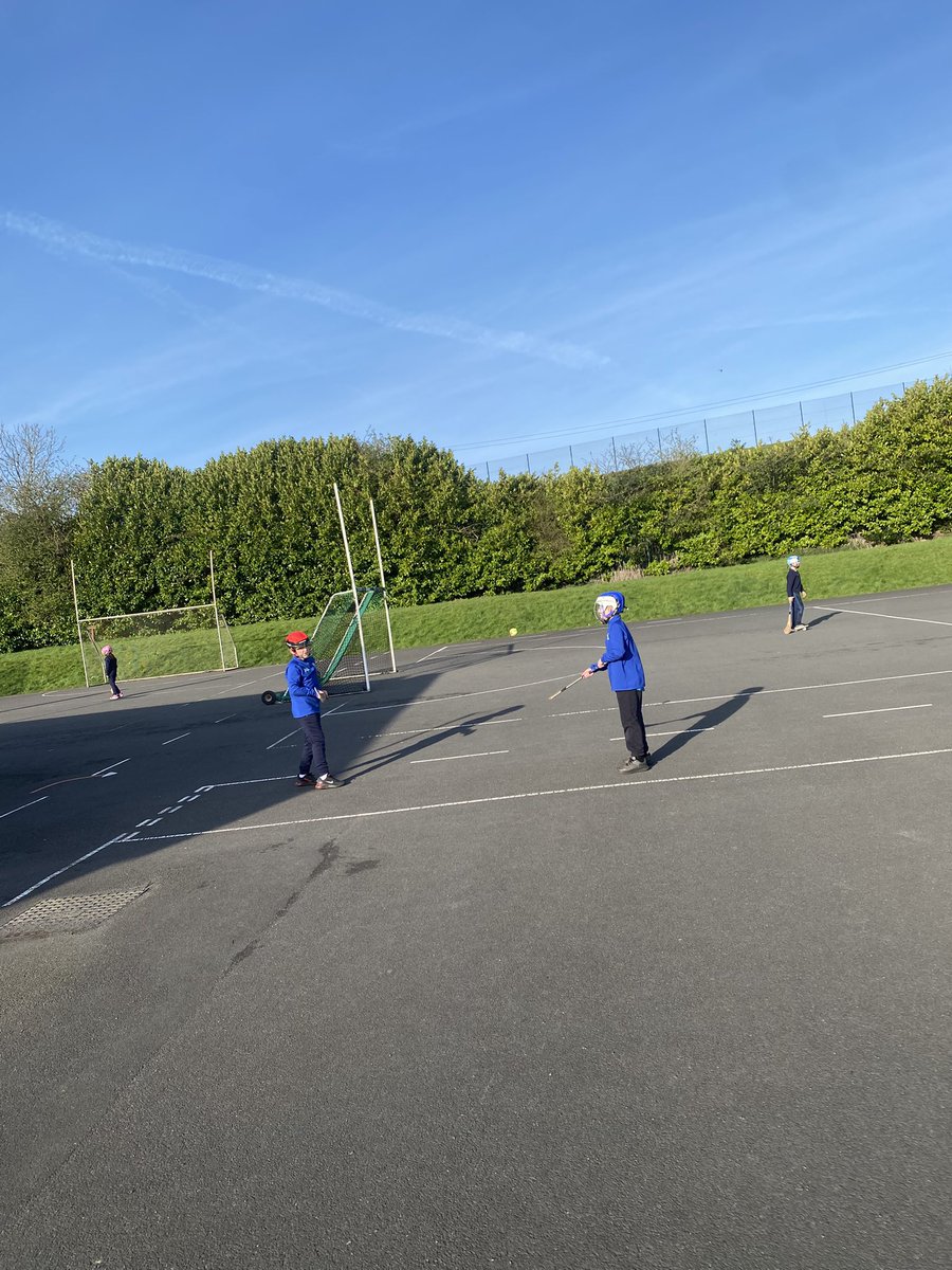 SJB Primary School tweet media