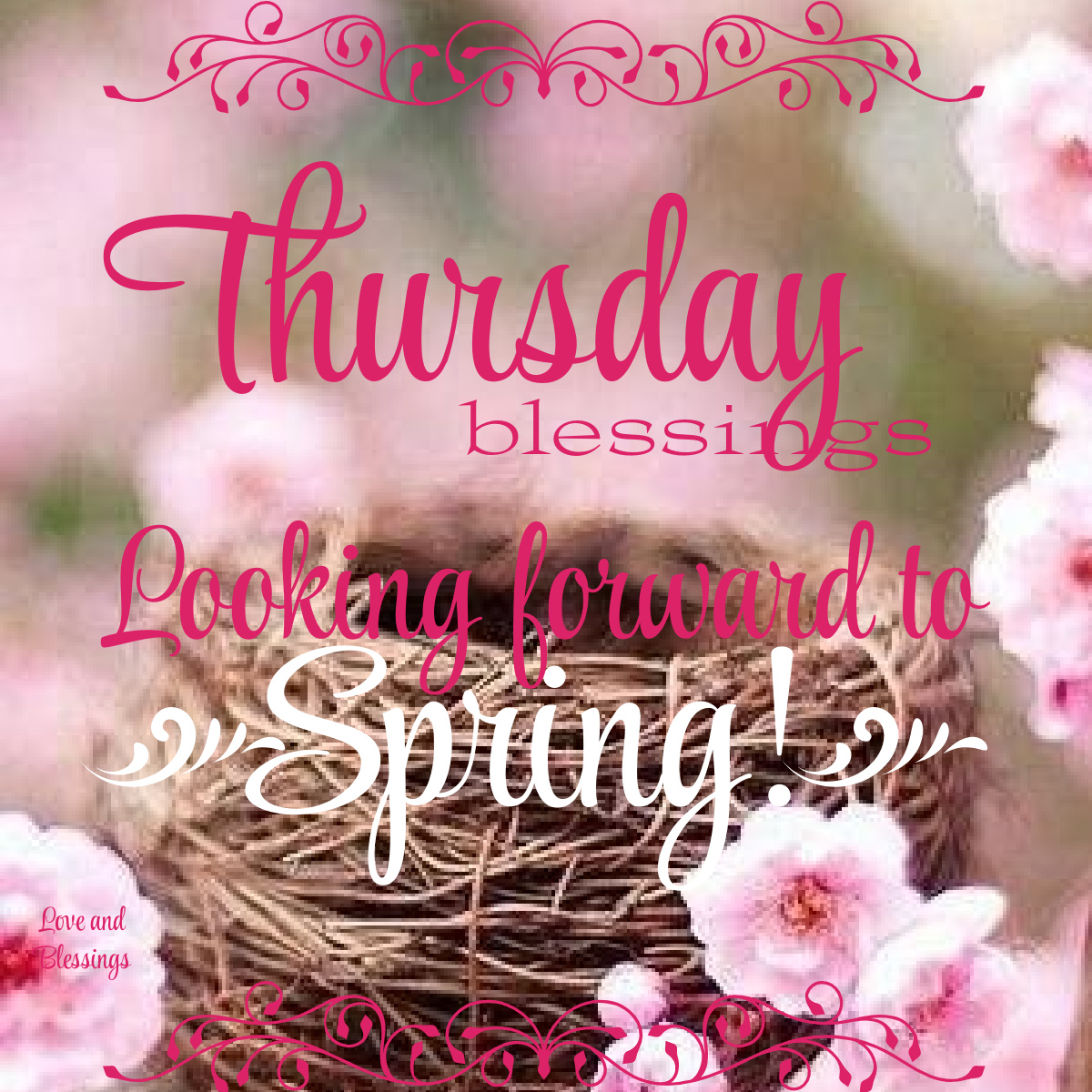 Inspiration & More tweet media