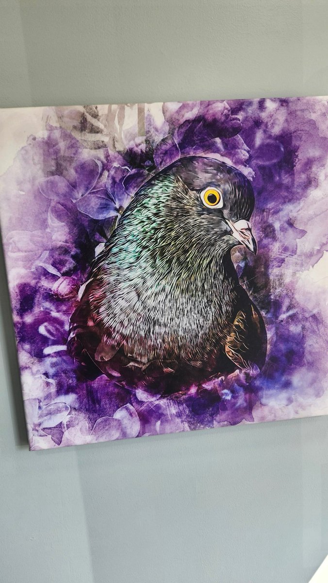 Zay 🔜 AC, IFC tweet media