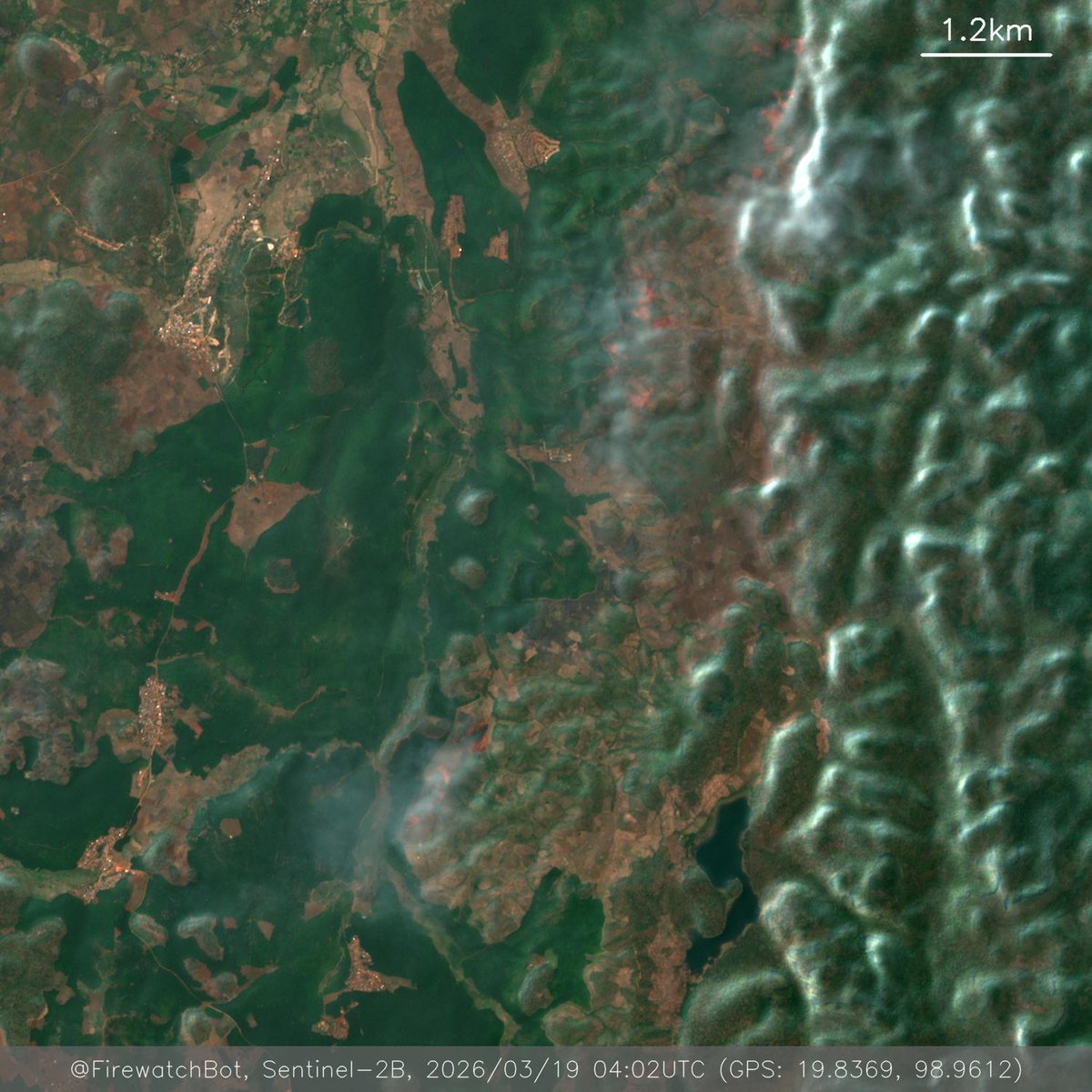 Firewatch Bot 🤖 tweet media