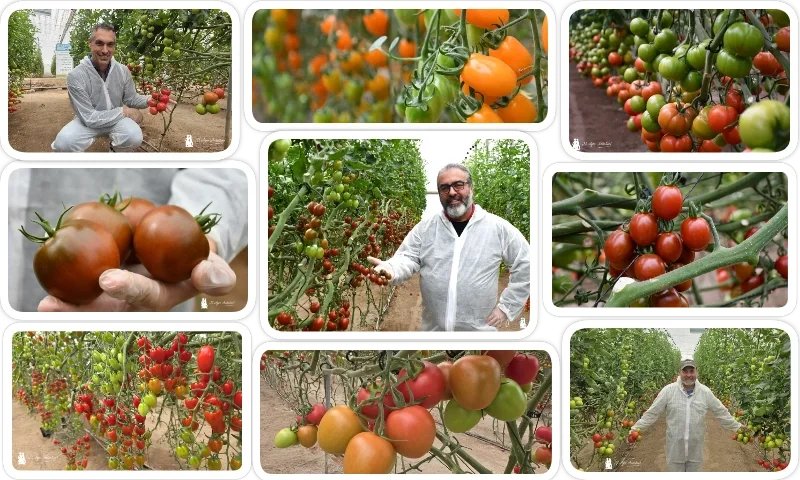 Ana Rubio tweet media