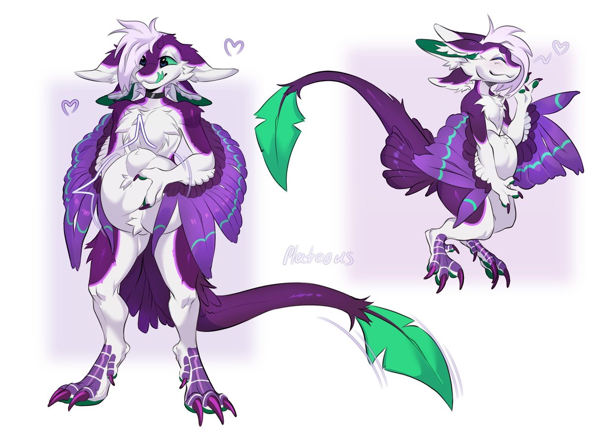 Plateous tweet media