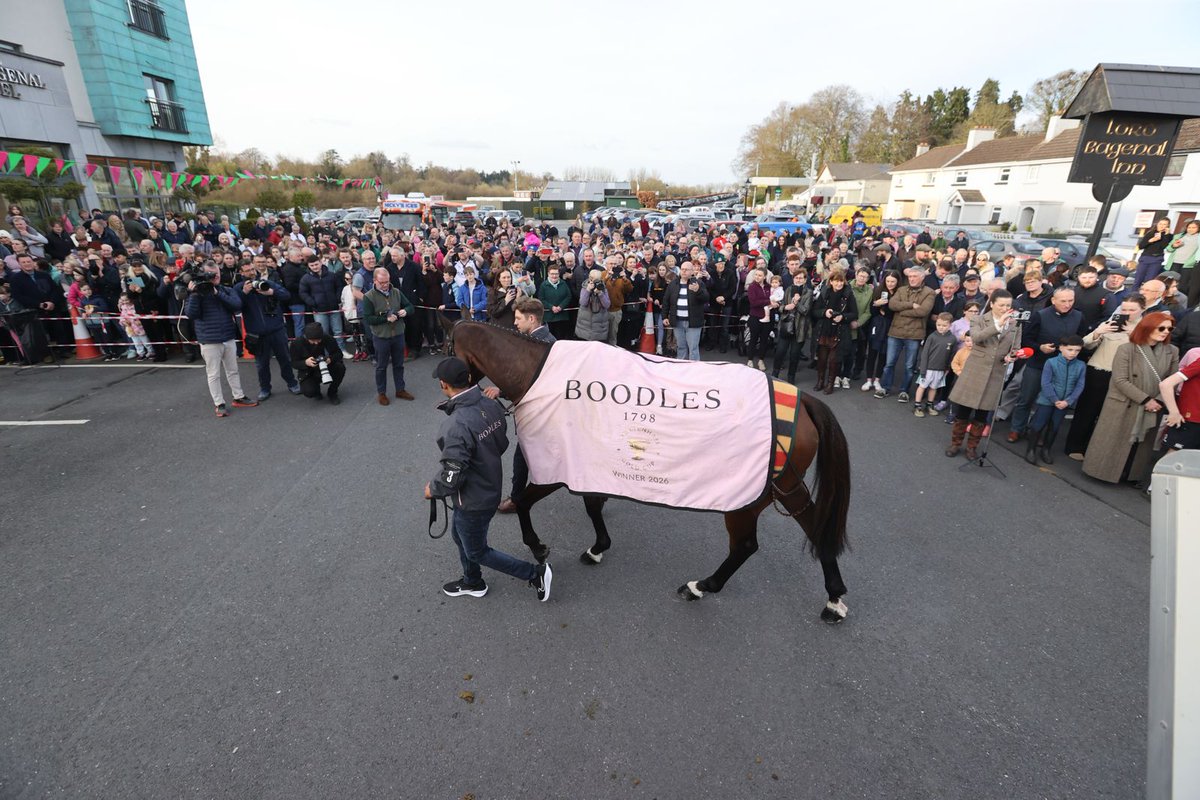 Willie Mullins tweet media