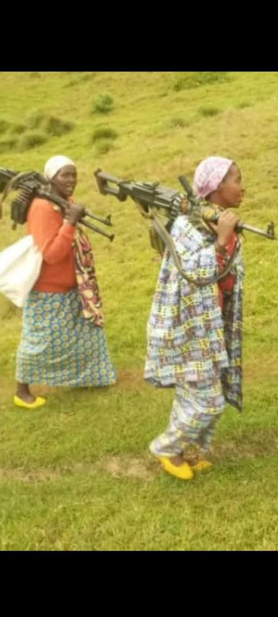 M23/AFC C'EST LA VIE🇨🇩🫡🦁✊ tweet media