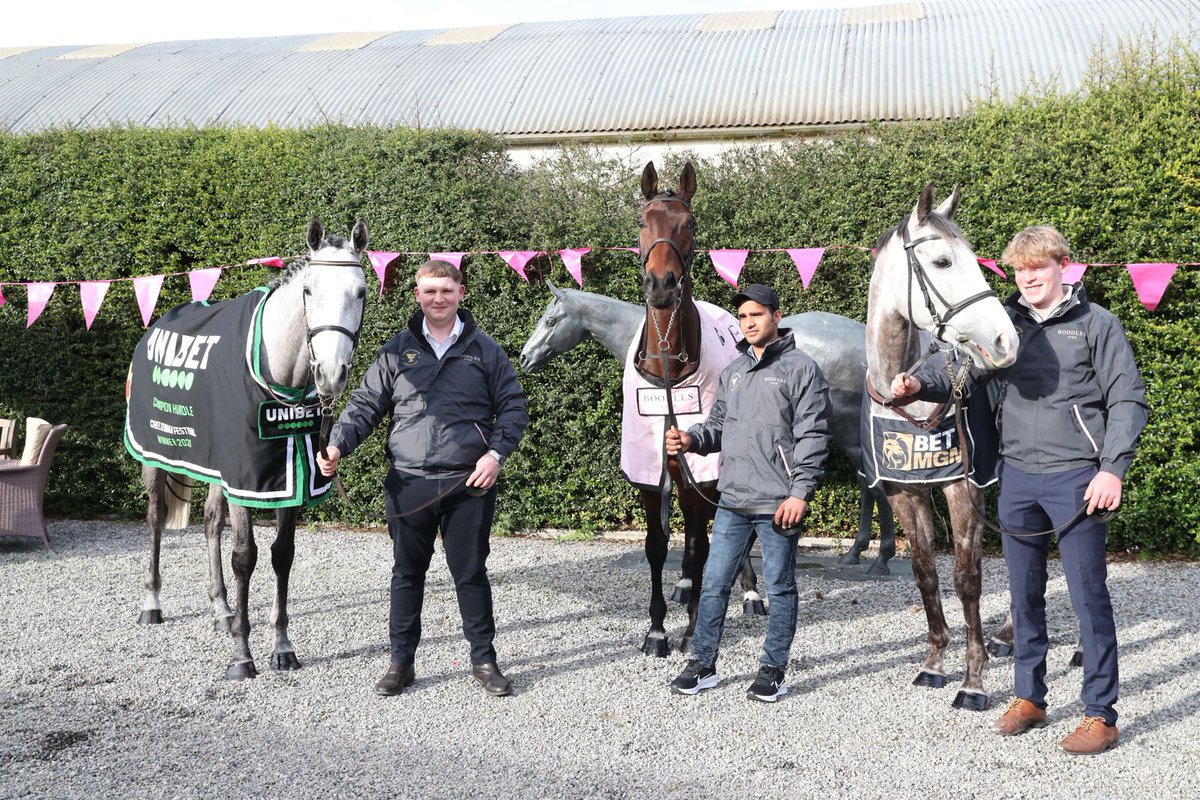 Willie Mullins tweet media