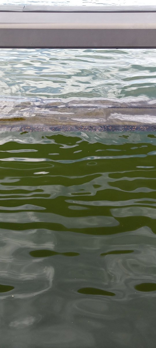 Shane Smith tweet media