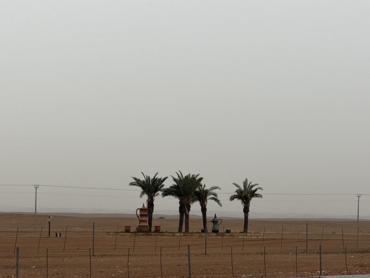 amirhayatkhan's tweet photo. Rain in the desert, the air rich with petrichor, and the endless vastness—a rare, tranquil moment where nature’s power and serenity collide. #DesertRain #Saudi #madinah https://t.co/P19D98sGtc