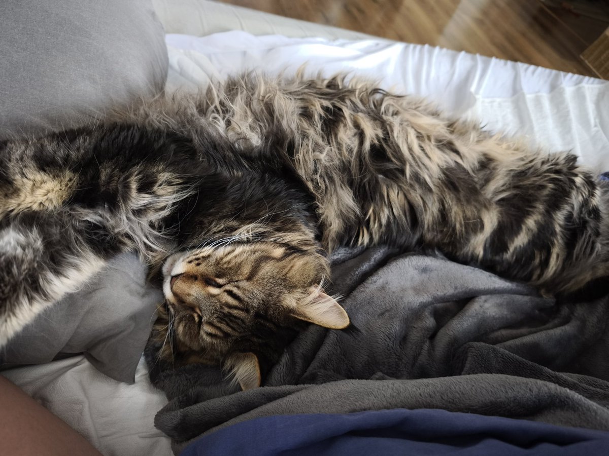 Duxtro 🔥 tweet media