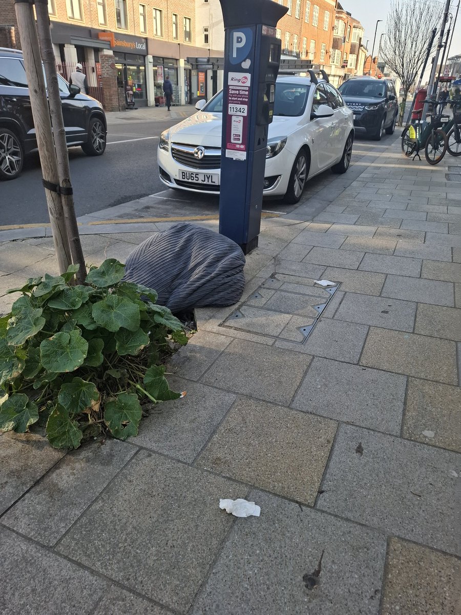 Sue Wixley 🔶️ 🧡 tweet media