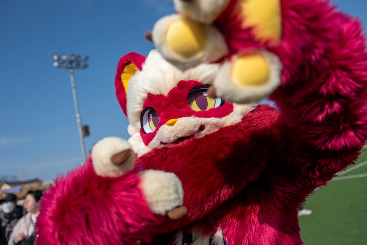 내 시야엔 너만 보여!💫

#과일너구리_발견
#FursuitEveryday