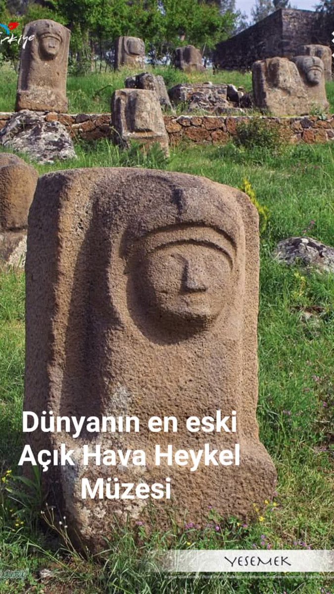 Günaydın..Mutlu Günler ☕💐🌳