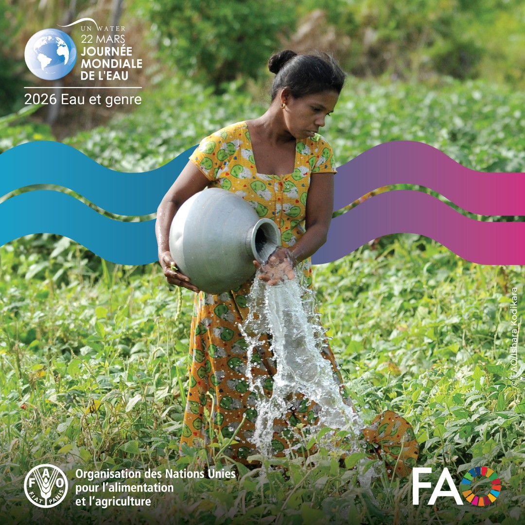 FAO en français tweet media