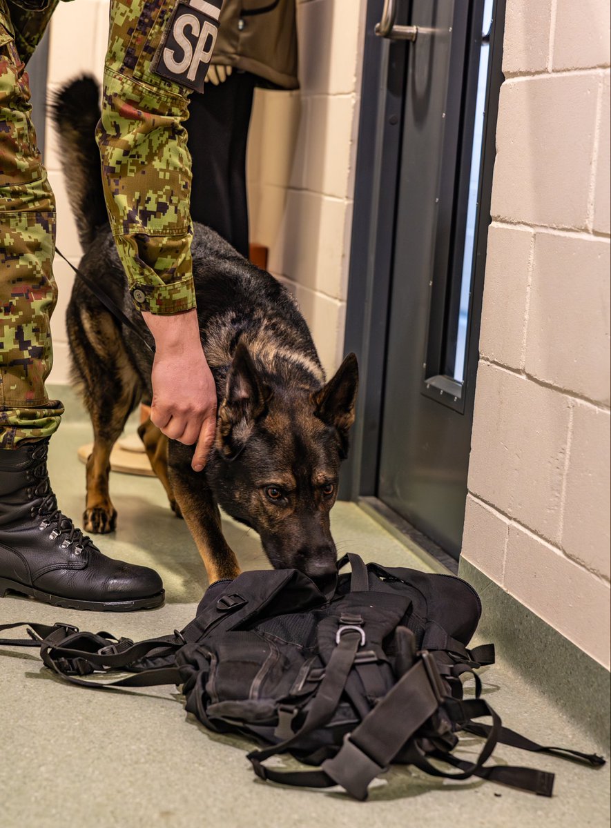 Estonian Defence Forces | Eesti Kaitsevägi tweet media