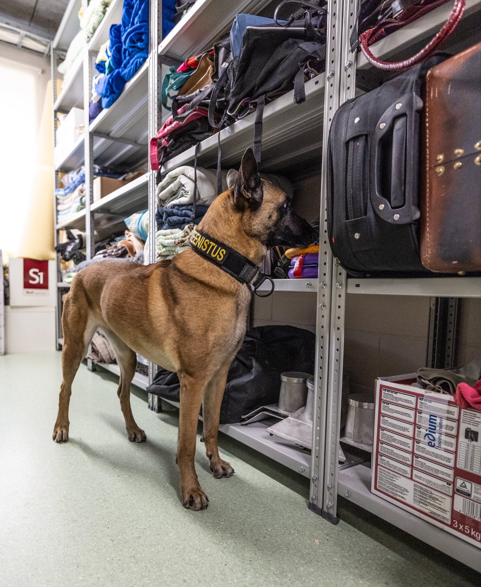 Estonian Defence Forces | Eesti Kaitsevägi tweet media