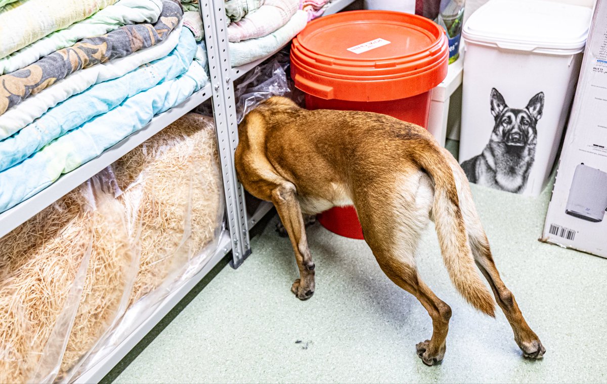 Estonian Defence Forces | Eesti Kaitsevägi tweet media