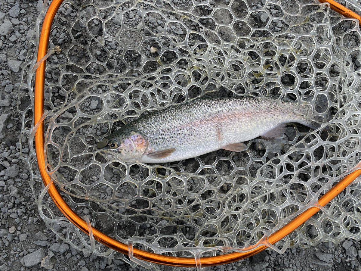 ☆みっちー☆ tweet media