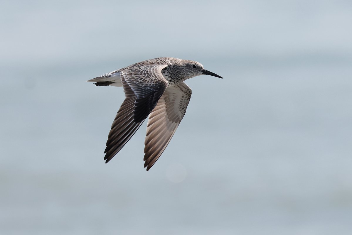 Nick Upton tweet media