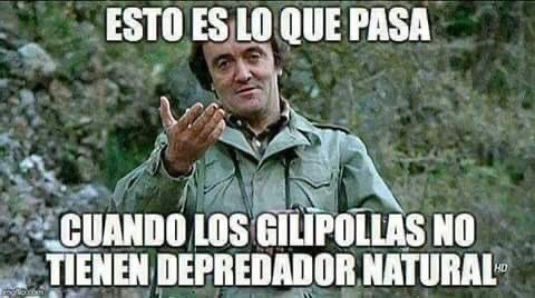 Harvardkocido's tweet photo. @RamonEspinar https://t.co/mU80QohKjm