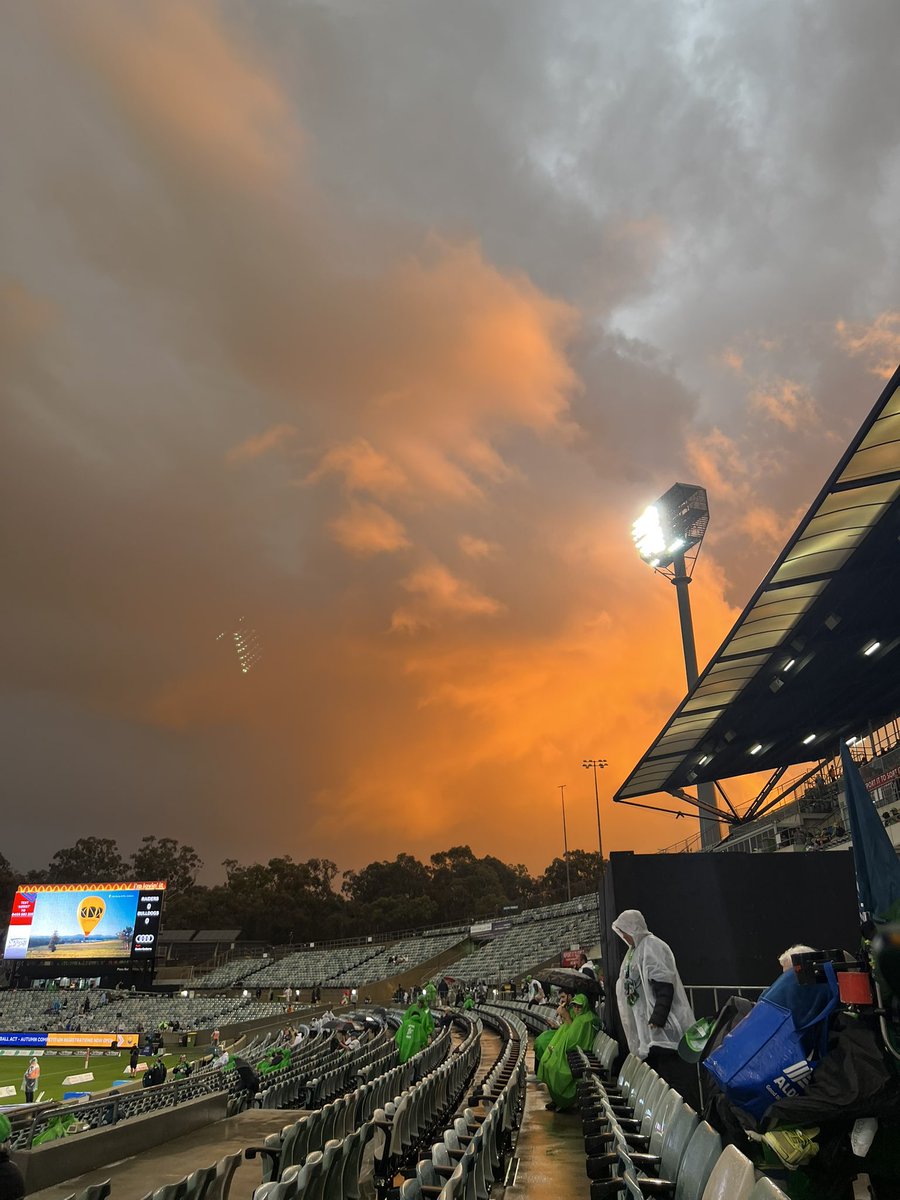 Phoebe #Raiders4Life tweet media