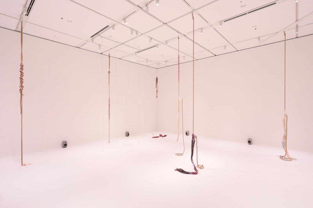 tottori_moa's tweet photo. /／
📣 #CONNEXIONS 展終了まであと3日！
\＼

『コネクションズ ―接続するアーティストたち』作品紹介

👤マリアンナ・クリストフィデス 
［アーティスト／リサーチャー、キプロス出身］

☞人間の営みによって傷ついた土地をめぐる長期的なプロジェクトに取り組んできました。災害や暴力の後にも消えずに残る社会的・環境的な影響に目を向け、人間の時間と地球の時間が交差する地点に現れる痕跡や矛盾を起点に、インスタレーション、映像、サウンド、テキストを横断した制作を行っています。

本展出品作《Restor(y)ing Waters》は、ケーブルや銅線を編み込んだ彫刻を中心に構成された7チャンネルのサウンド・インスタレーションです。移民・難民女性のための非営利団体に参加する、多様な背景をもつ女性たちとの数か月にわたる協働から生まれました。
生命の原初に関わる「水」を入口に、語りや対話を重ねて紡がれた複数の言語の声が空間に広がり、水がもつ変化や喪失、そして人と人を結びつける力を静かに立ち上げます。

- - - - - - - - - - - - - - - - - - - - - - - - - -
『CONNEXIONS｜コネクションズ
　―接続するアーティストたち』

〈会期〉2026/2/7㊏～3/22㊐
〈会場〉3F 企画展示室
〈開館時間〉9:00～17:00(入館は16:30まで)
〈観覧料〉一般 1,200円／学生 750円／高校生 500円／小中学生 300円
- - - - - - - - - - - - - - - - - - - - - - - - - -

▼展覧会ページはこちら
https://t.co/2yhS3Y3wQE

#鳥取県立美術館 #コネクションズ #企画展 #mariannachristofides