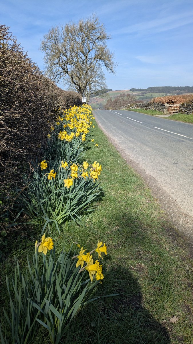 🦊🦊MrsHaworthFox2🦊🦊 tweet media