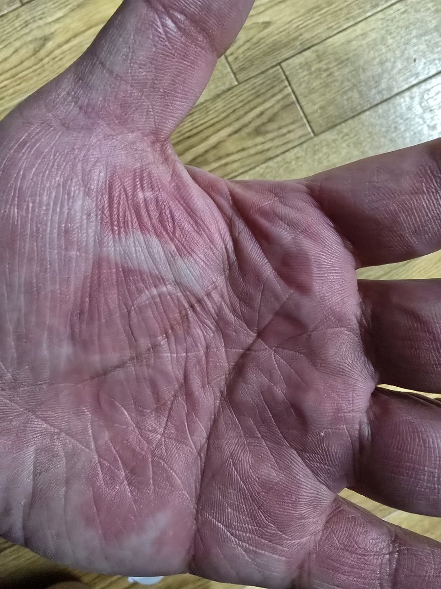 優しい:systema:美しい tweet media