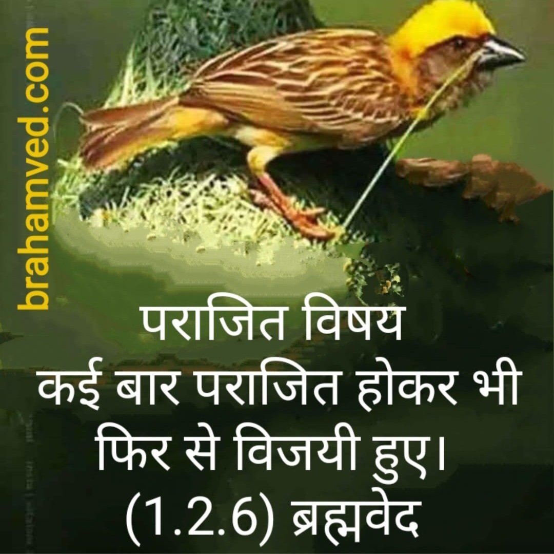 BrahamVed's tweet photo. (1.2.6) ब्रह्मवेद
#brahamved #morning #goodafternoon🌞   #thoughts #quotes #suprabhat  #goodvibes  #motivation #motivationalquotes #thoughtoftheday #navratrispecial  #navratrivibes  #thursdayvibes  #thursdaymotivation  #quotesaboutlife  #सुप्रभात #सुप्रभातम्🙏 #सुप्रभात_मित्रों https://t.co/wXAr5mTsnH