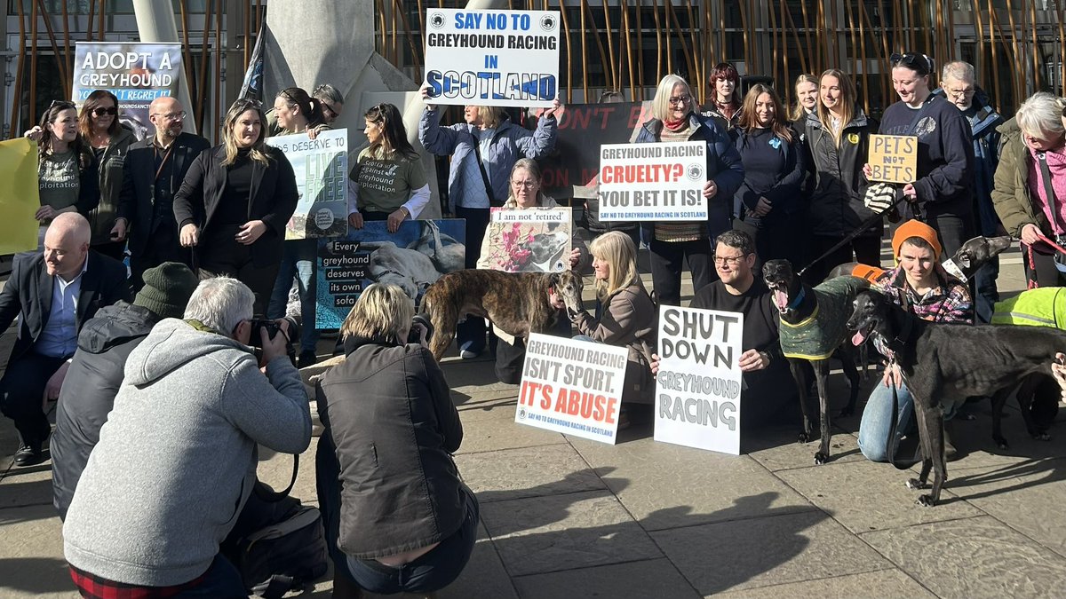 Harris Hound 🌈 SayNoToGreyhoundRacingInScotland tweet media