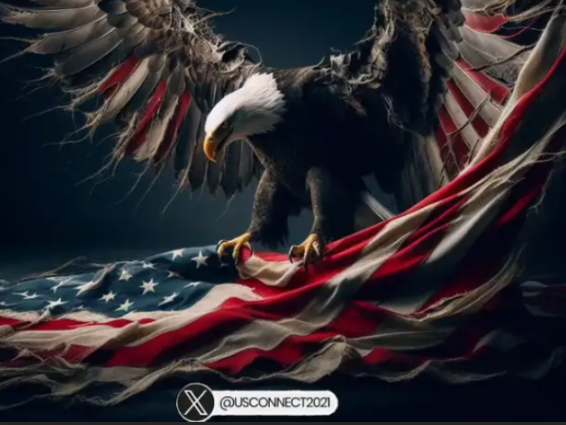 USConnect tweet media