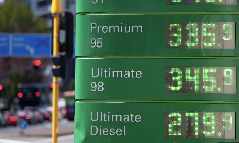 Mountain_Tui tweet media