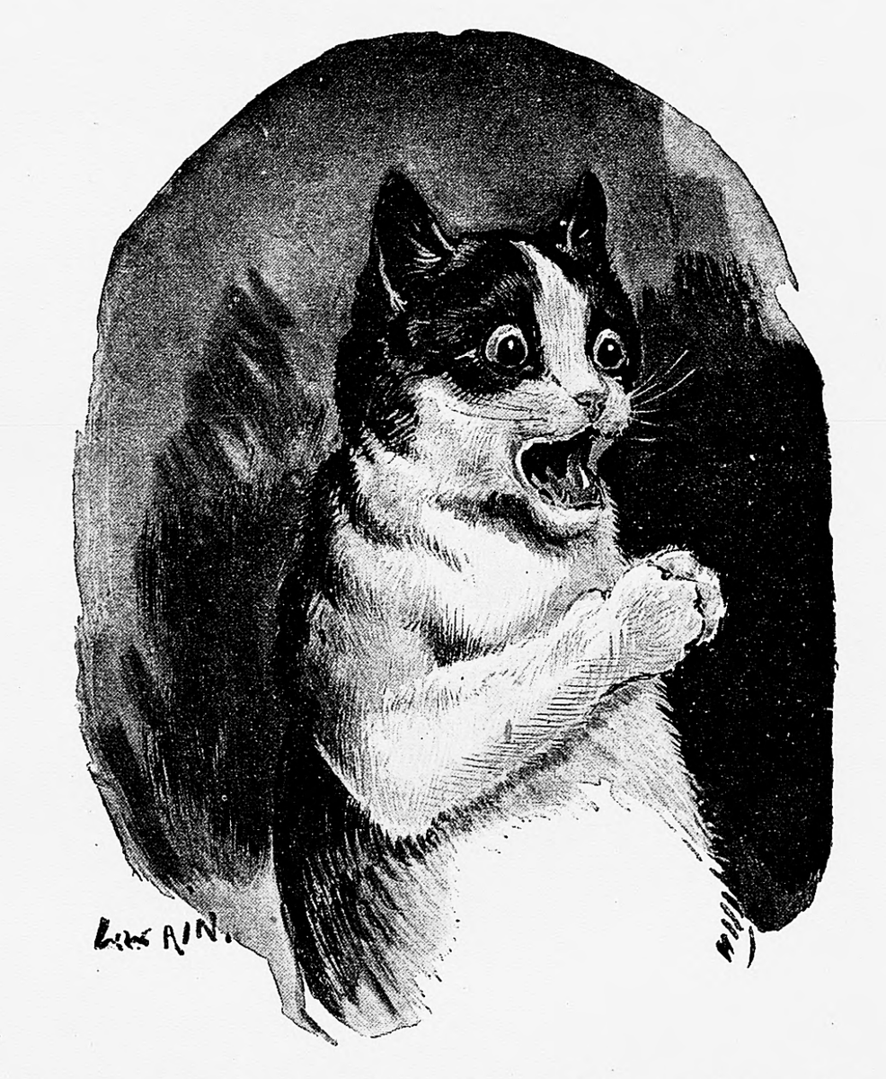 Louis Wain Bot tweet media