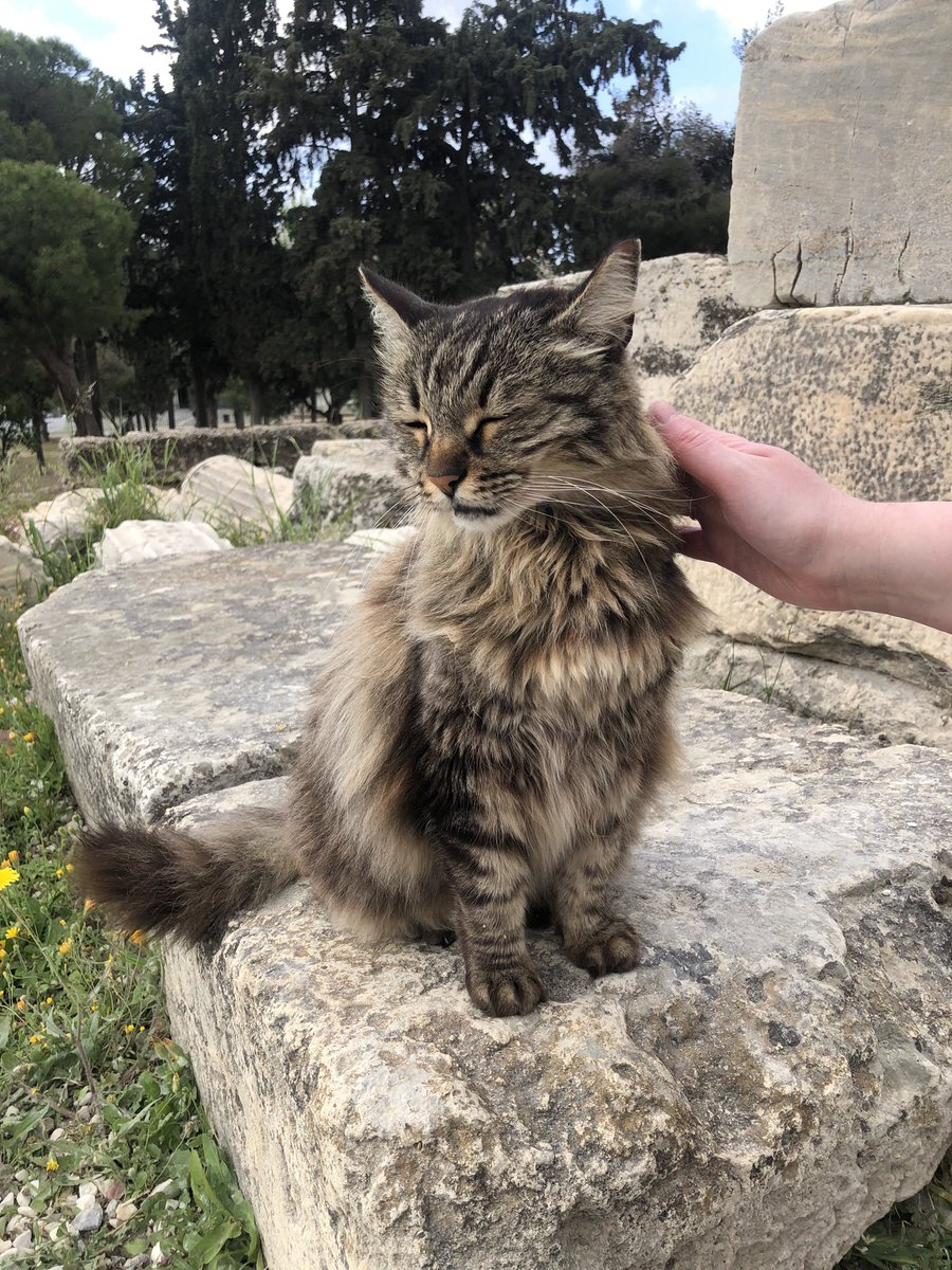 Bethan Ackerley 🇵🇸 tweet media