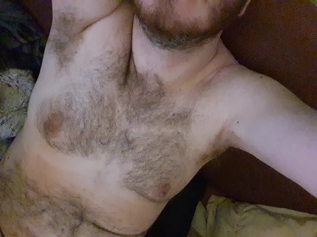 Another Sydney Bear Cub tweet media