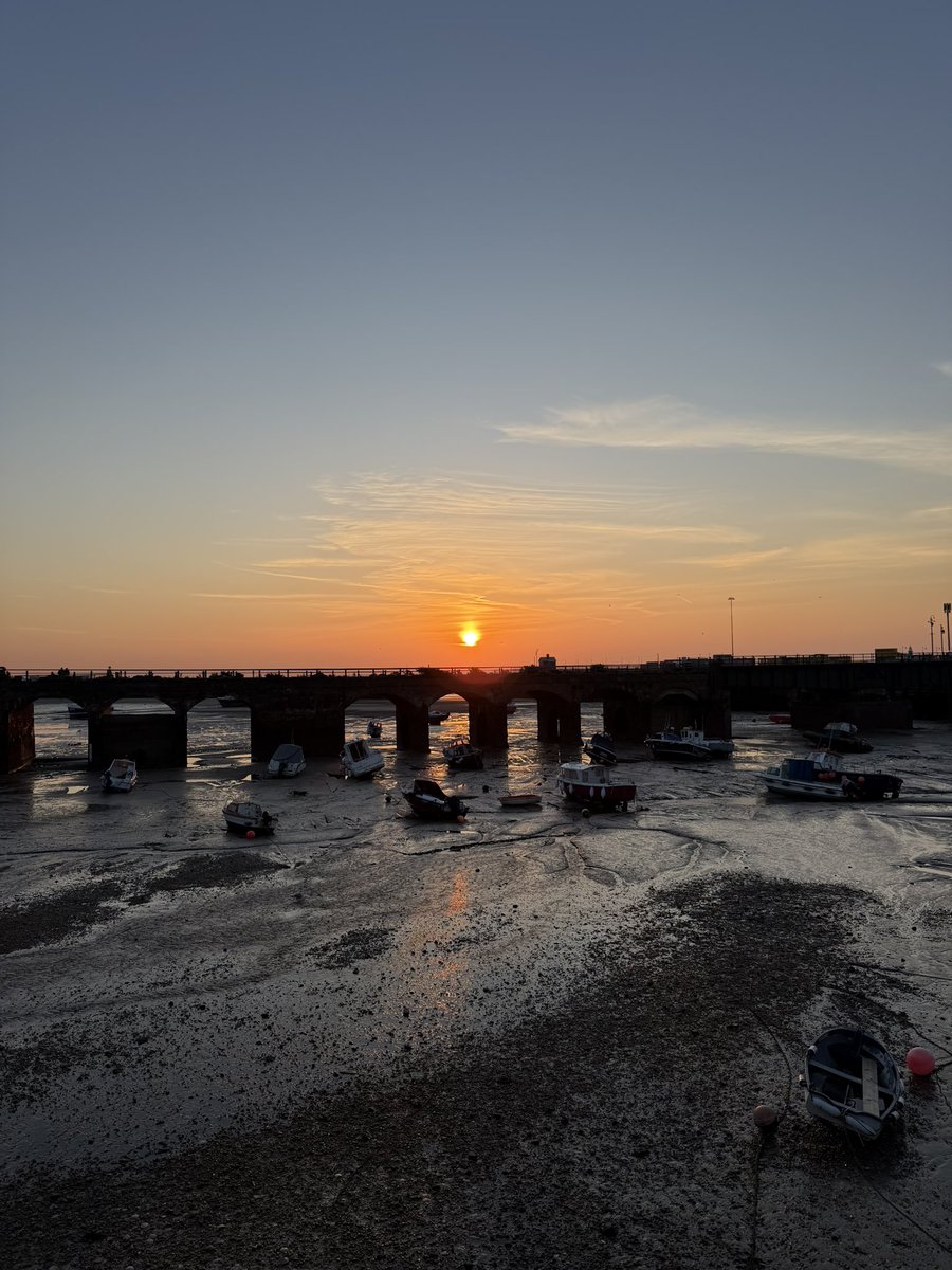 Holly 🐚🧜‍♀️☀️ tweet media