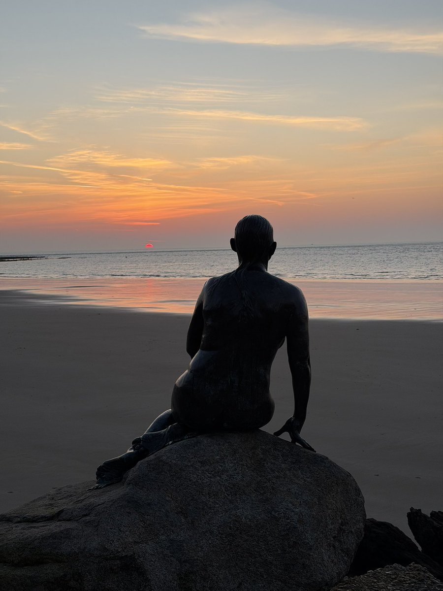 Holly 🐚🧜‍♀️☀️ tweet media