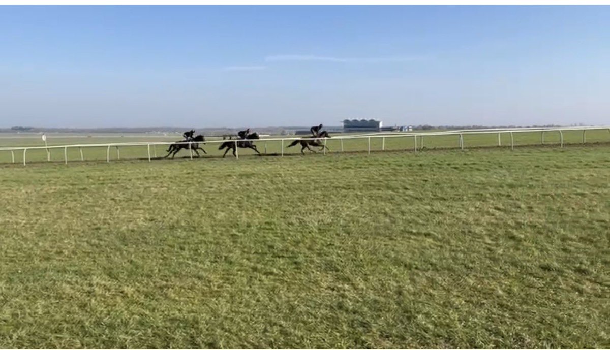 Tim (still totally unremarkable) tweet media