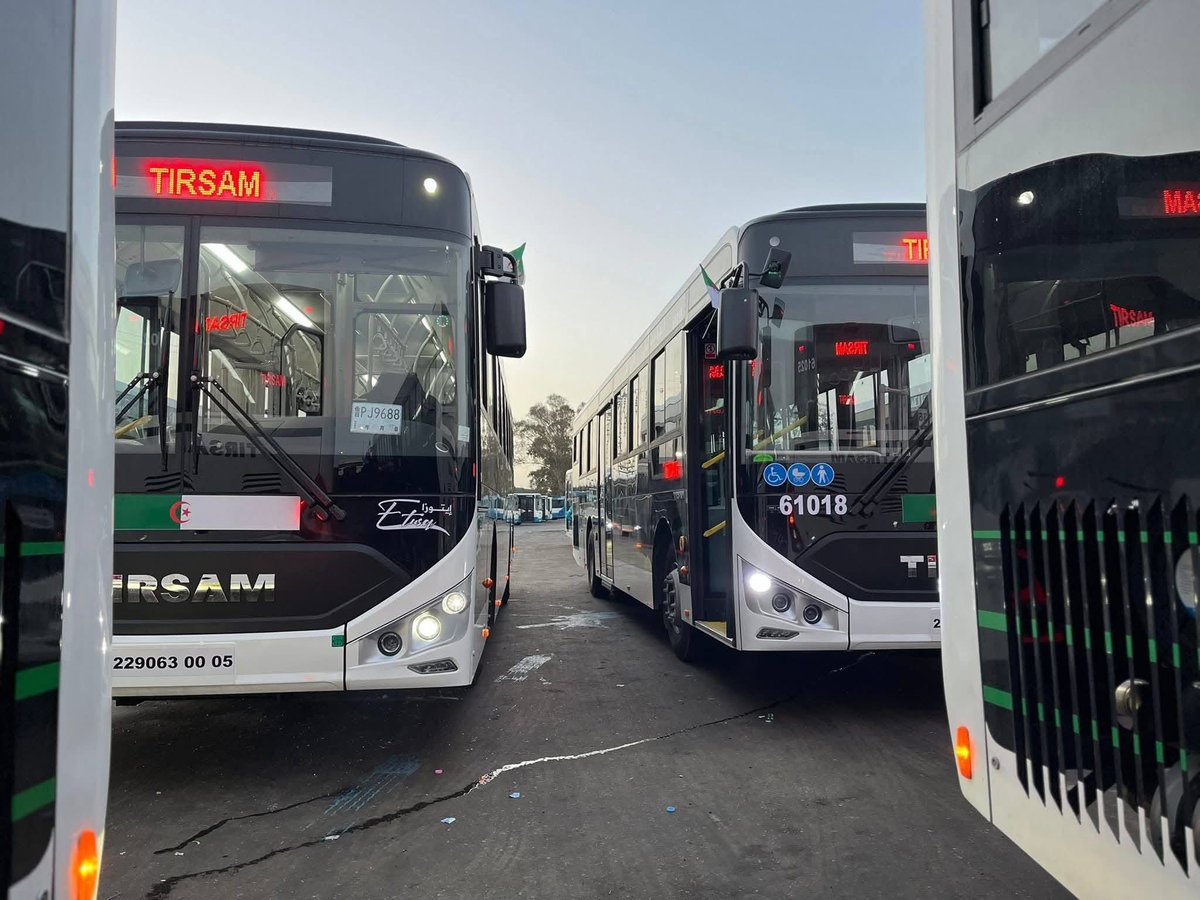 Algeria Project tweet media