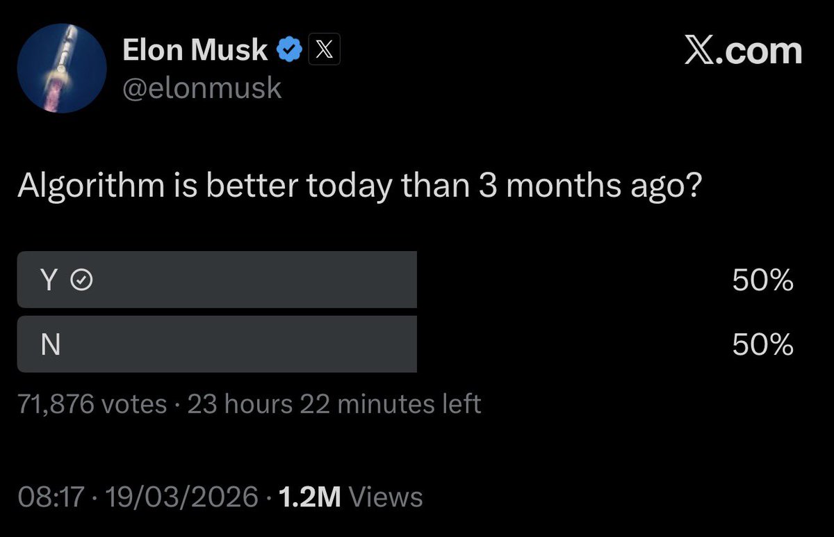 TheStebe tweet media