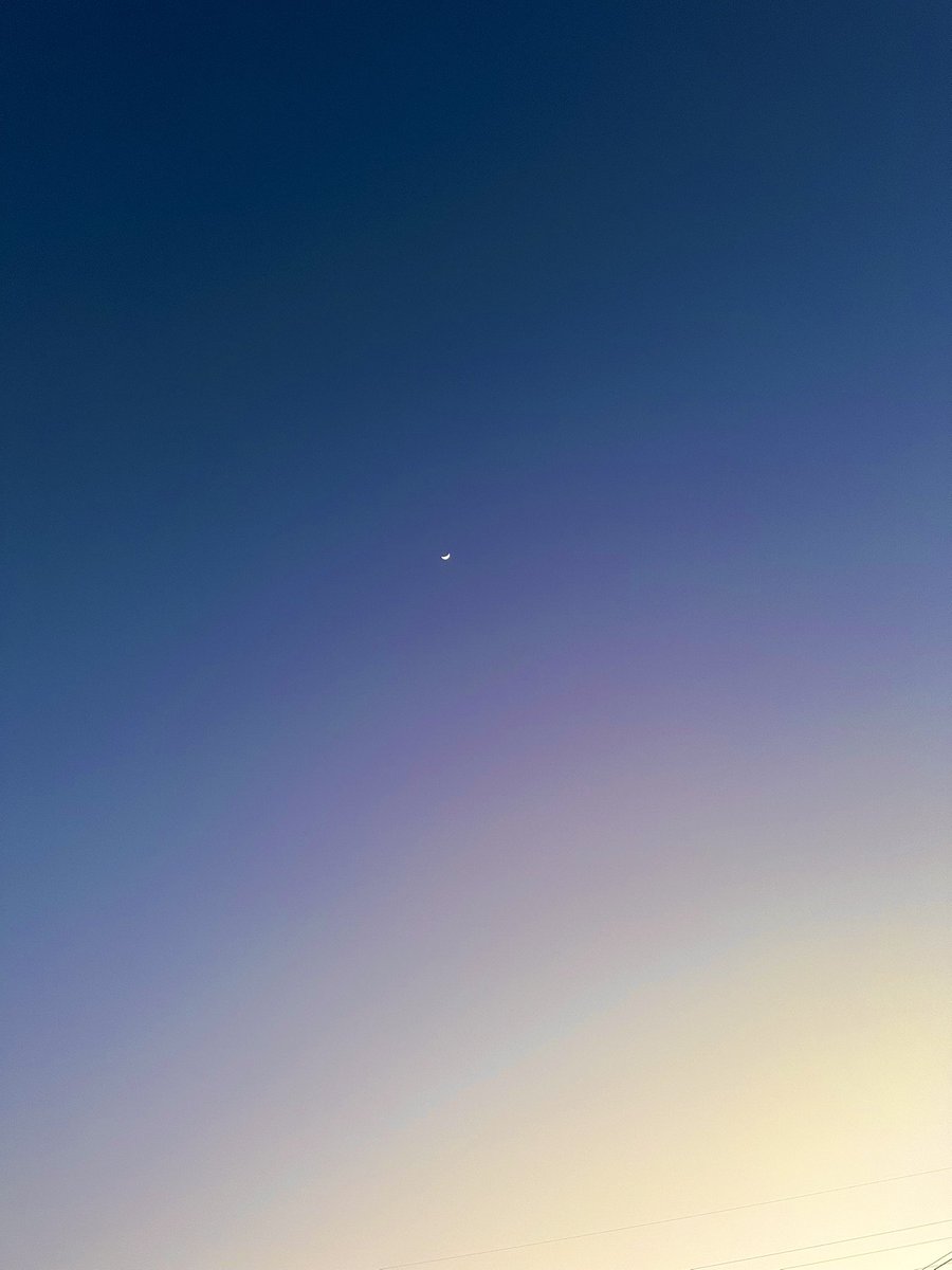 動きたくない点P tweet media