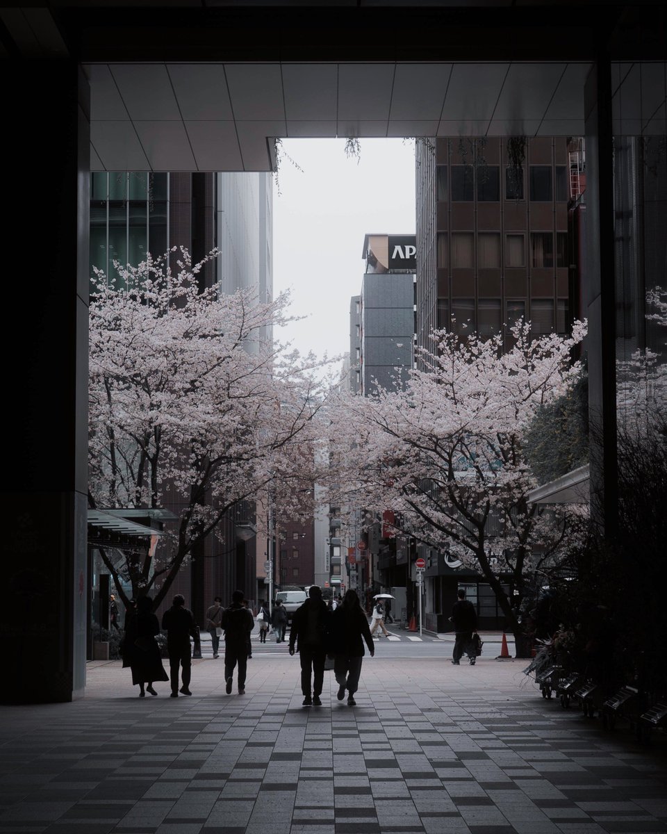 Shuncha / Shunya Takabayashi tweet media