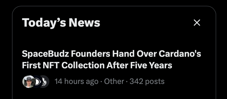 Luca | Knackfisch tweet media