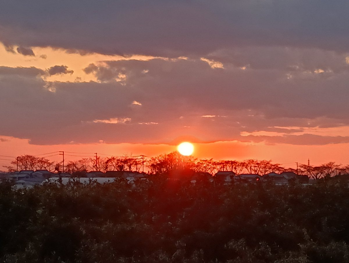 『お手頃価格のチケットで
その何倍も価値がある時間を
お客様に過ごして頂きたい』
それが私の理想のライブ
ユーリ君は素晴らしいはずだし
私自身も更にその時間の
価値を上げていきたい
明日です
2026/3/20@凸凹舎
『春分の夜茶会』