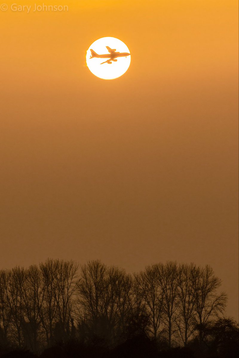 Gary Johnson tweet media