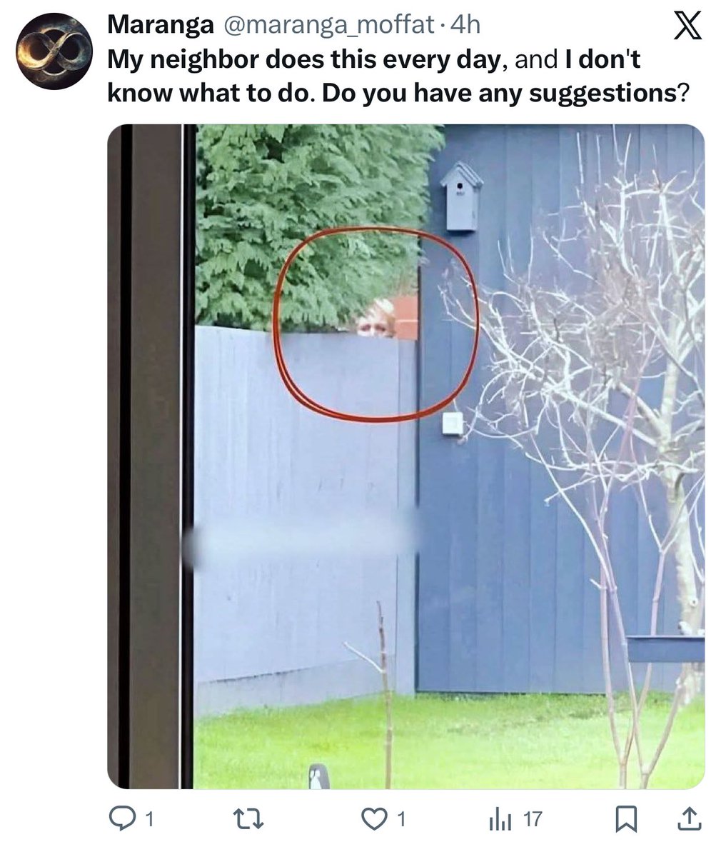 #FeesMustFall tweet media