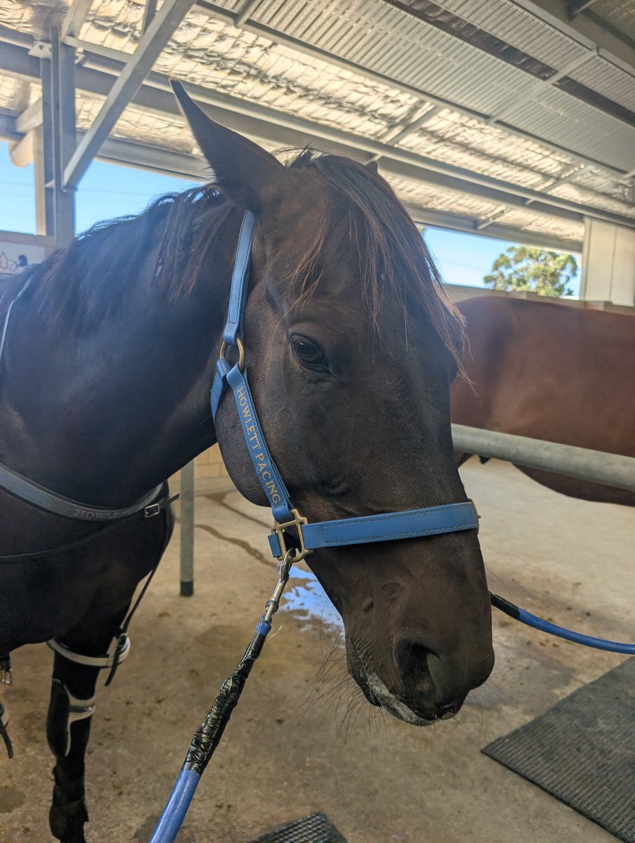 K Howlett Racing tweet media