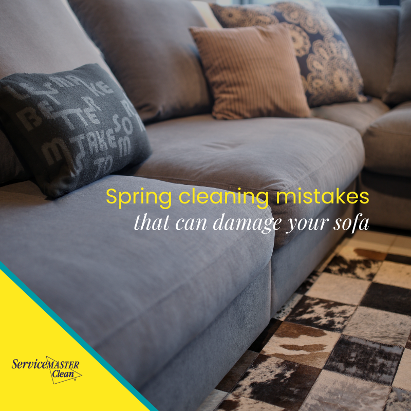 SM_CleanUK's tweet photo. Too much water or the wrong products can damage fabric. Learn the safe approach.
https://t.co/qDTAzZ6RIRβ¨β¨#ServiceMasterClean #UpholsteryCleaning #SpringCleaning #HomeTips https://t.co/aHKhA1qGJc